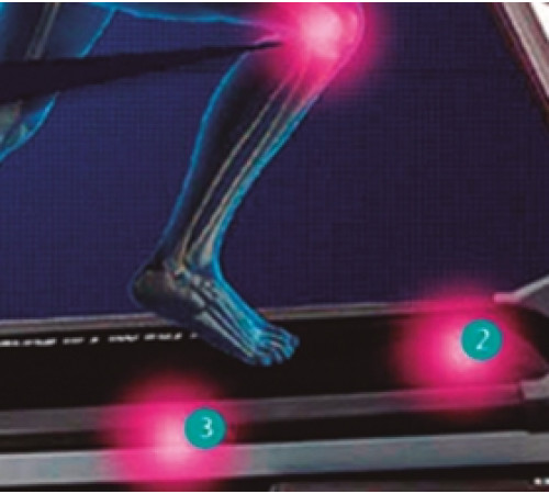 Беговая дорожка BH FITNESS PIONEER R3 TFT