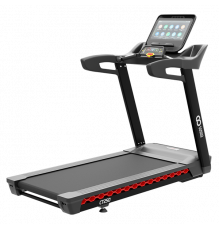 Беговая дорожка CardioPower PRO CT250