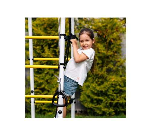 Детский спортивный комплекс для дачи ROMANA Богатырь MAX