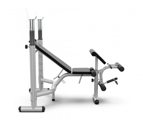 Скамья под штангу DFC D748