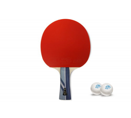 Ракетка для н/т Double Fish (3A+C серия)